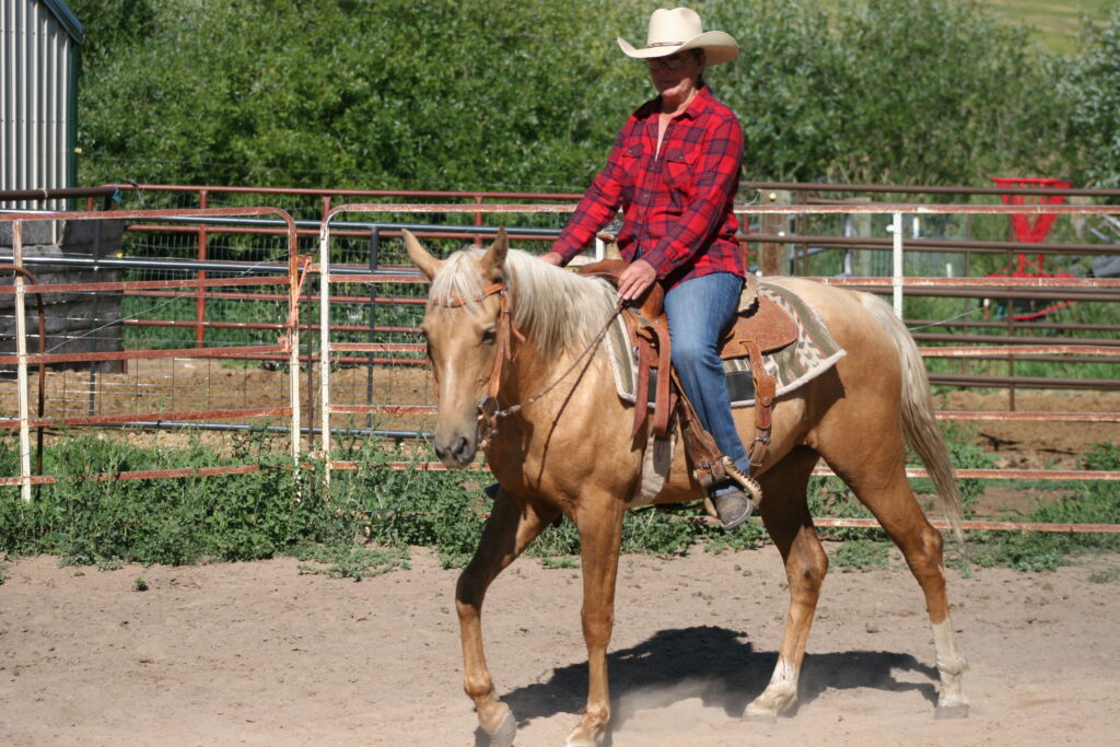 Wolf Moon Ranch LLC Performance Paint and Quarter Horse Sales Dualin